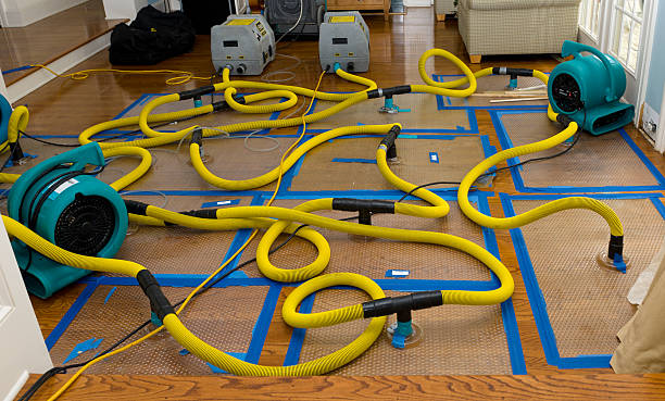 Professional Sewage Cleanup technician working in Albion, IL